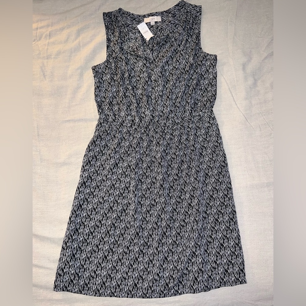 Ann Taylor Dress
